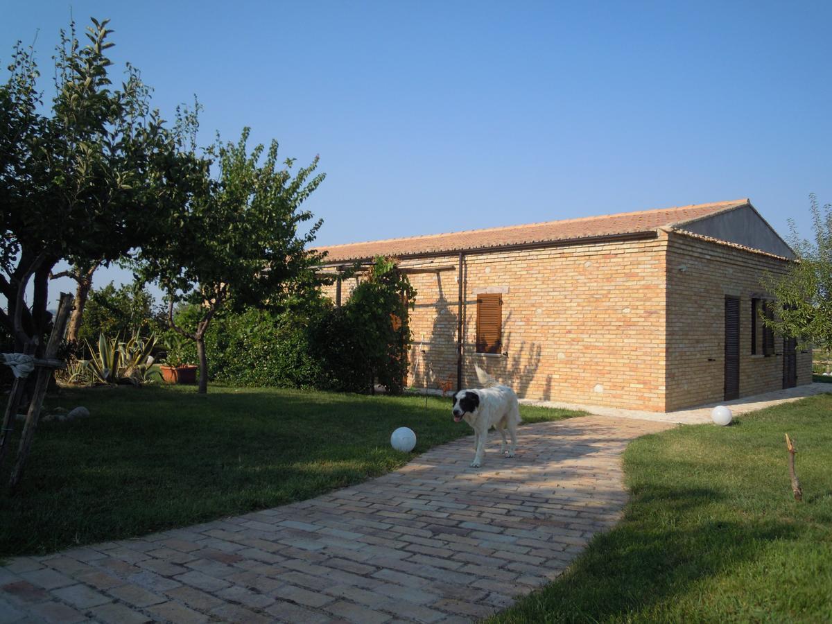 Agriturismo Piccolo Albero Loreto Aprutino Exterior photo