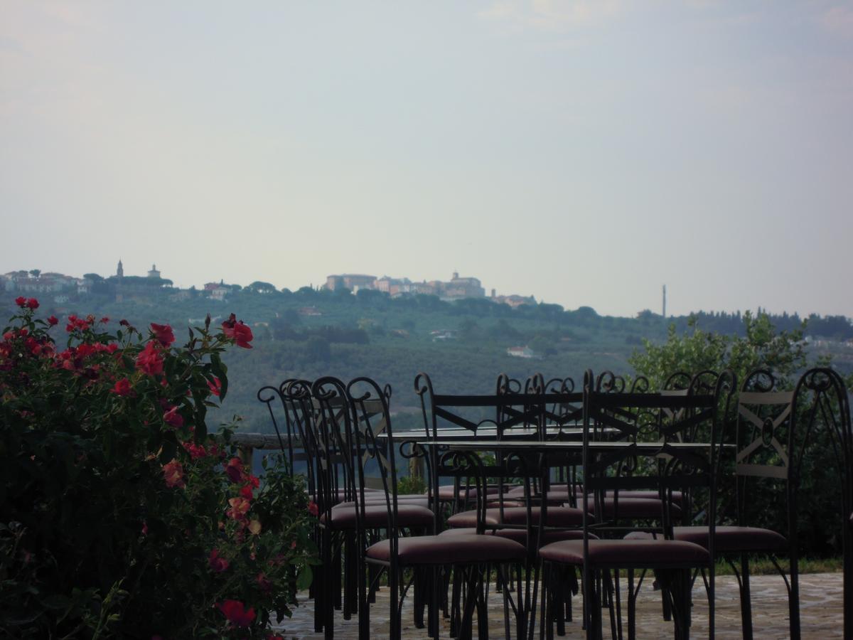 Agriturismo Piccolo Albero Loreto Aprutino Exterior photo